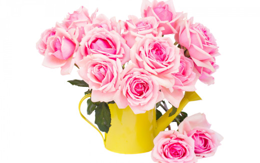 1543248 (a): :2880x1800